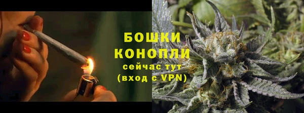 ПСИЛОЦИБИНОВЫЕ ГРИБЫ Горнозаводск