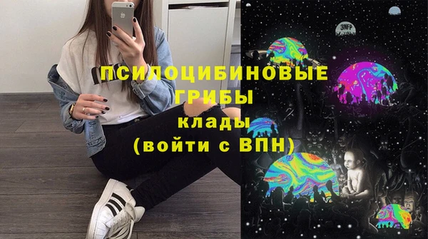 тгк Горняк