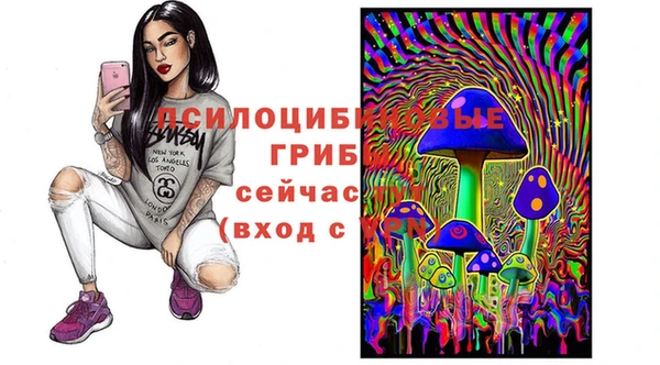 СК Горно-Алтайск