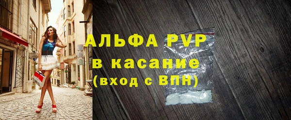 СК Горно-Алтайск