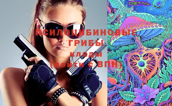 ПСИЛОЦИБИНОВЫЕ ГРИБЫ Горнозаводск