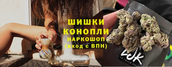 ПСИЛОЦИБИНОВЫЕ ГРИБЫ Горнозаводск
