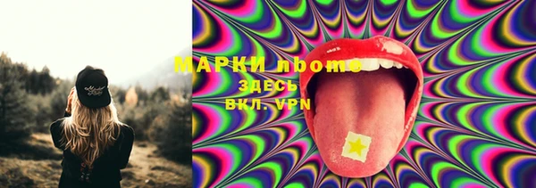 ПСИЛОЦИБИНОВЫЕ ГРИБЫ Горнозаводск