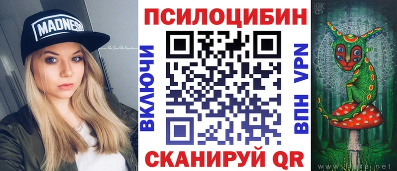 Псилоцибиновые грибы мицелий  Купить закладки  Елец 